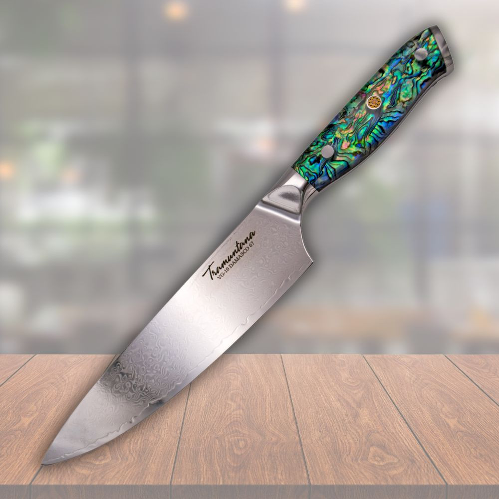 Coltello da cucina Tramuntana modello CD10 Chef 1737885960 - Scopri i 10 coltelli da cucina più venduti nel 2024 che devi avere.