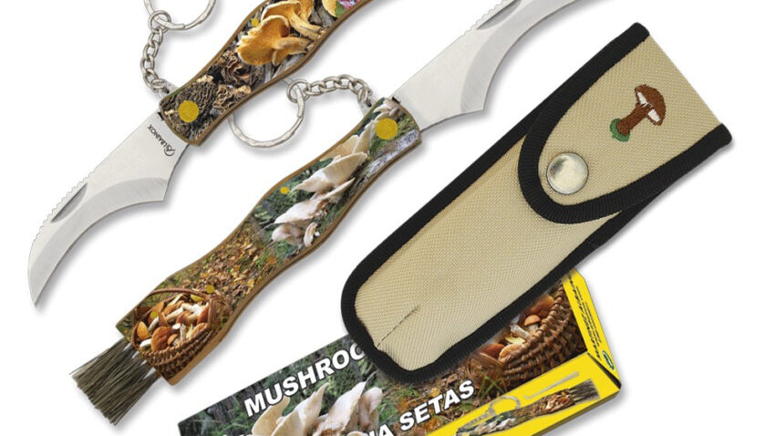 guida completa ai funghi raccolta e consumo responsabile - Guida Completa ai Funghi: Raccolta e Consumo Responsabile